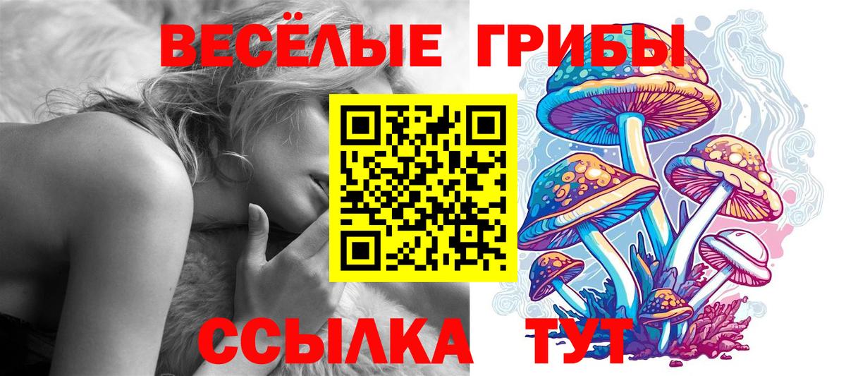 Псилоцибиновые грибы прущие грибы Томск