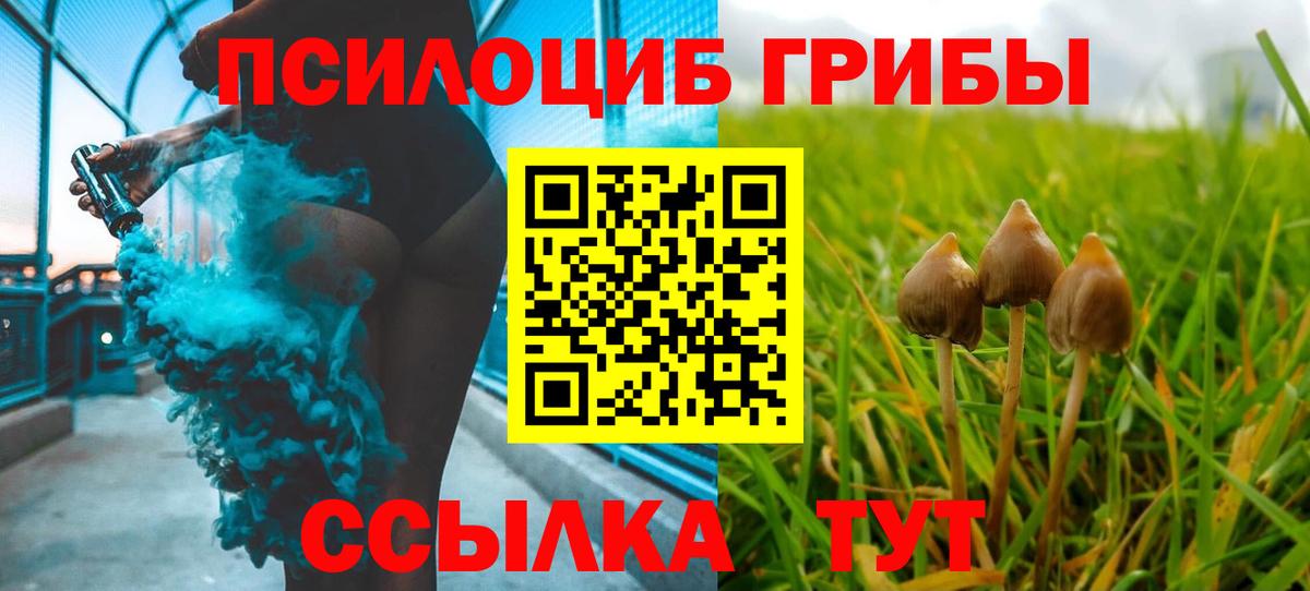 Томск  наркота  Вход с VPN  Псилоцибиновые грибы MAGIC MUSHROOMS 